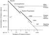 FIGURE 2.12. Disease markers like PSA are present in trillionth molar concentrations as opposed to albumen which is present in greater than thousandth molar concentrations.