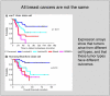 FIGURE 2.3. All breast cancers are not the same.