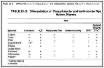 Table 23-2. Differentiation of Campylobacter and Helicobacter Species Related to Human Disease.