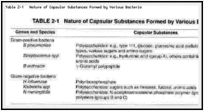 Table 2-1. Nature of Capsular Substances Formed by Various Bacteria.