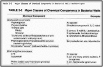 Table 2-2. Major Classes of Chemical Components in Bacterial Walls and Envelopes.