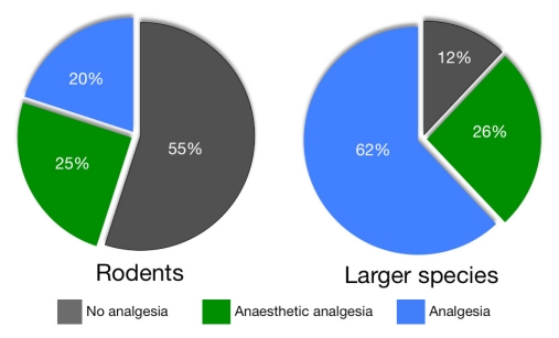 Two pie charts show reported analgesic use in 2005–2006 after surgery in rodents (Stokes et al. 2009) and larger species (rabbits, pigs, sheep, dogs, and primates) (Coulter et al. 2009). The chart for rodents shows that 55% of the studies reported the use of no analgesia, 25% the use of anesthetic analgesia, and 20% the use of analgesia. The chart for larger species shows that 12% of the studies reported the use of no analgesia, 26% the use of anesthetic analgesia, and 62% the use of analgesia.