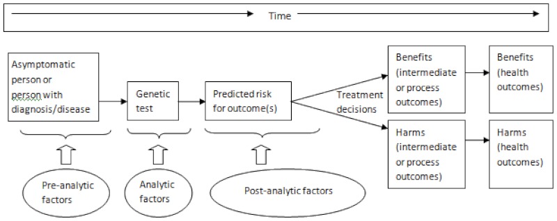 This flowchart illustrates a generic analytic framework for evaluating predictive genetic tests that can be modified as necessary for various situations. An asymptomatic person or a person with a diagnosis/disease is the first element; next is the genetic test; and from there treatment decisions with attendant benefits and harms (intermediate or process outcomes), and finally benefits and harms (health outcomes). Pre-analytic, analytic, and post-analytic factors can be inserted into the analysis at appropriate points in the study. Pre-analytic factors focus on the person tested, analytic factors on the genetic test itself, and post-analytic factors focus on the predicted outcomes. A timeline is depicted across the top of the chart.