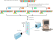 Figure 3.25. Automated DNA sequencing.