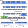 Figure 3.27. Amplification of DNA by PCR.