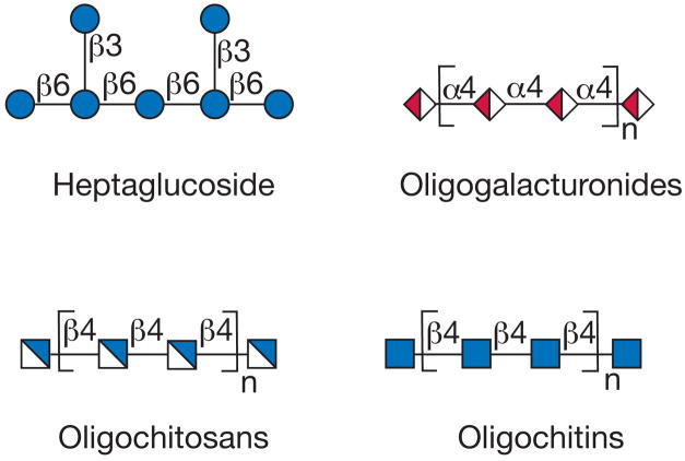 (For the monosaccharide symbol code, see Figure 1.5, which is also 