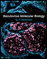 Cover of Baculovirus Molecular Biology