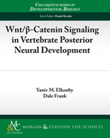 Cover of Wnt/β-Catenin Signaling in Vertebrate Posterior Neural Development