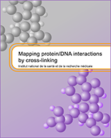 Cover of Mapping Protein/DNA Interactions by Cross-Linking