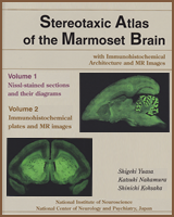 Cover of Stereotaxic Atlas of the Marmoset Brain