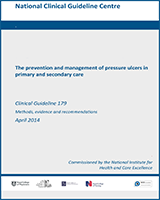 Cover of The Prevention and Management of Pressure Ulcers in Primary and Secondary Care