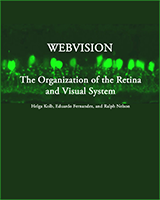 Cover of Webvision