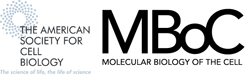 mbc标志