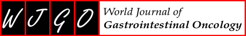 Logo of worldjgastroonco