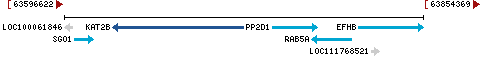 Genomic Context describing neighboring genes