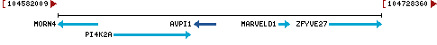 Genomic Context describing neighboring genes