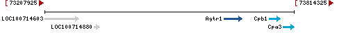 Genomic Context describing neighboring genes