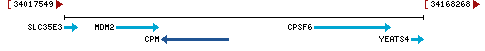 Genomic Context describing neighboring genes