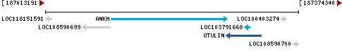 Genomic Context describing neighboring genes