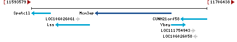 Genomic Context describing neighboring genes