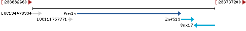 Genomic Context describing neighboring genes