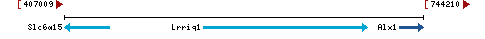 Genomic Context describing neighboring genes