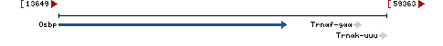 Genomic Context describing neighboring genes