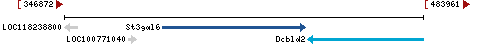 Genomic Context describing neighboring genes