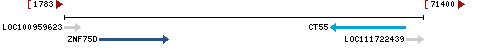 Genomic Context describing neighboring genes