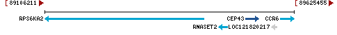 Genomic Context describing neighboring genes