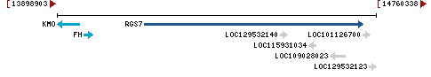 Genomic Context describing neighboring genes