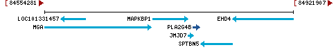 Genomic Context describing neighboring genes