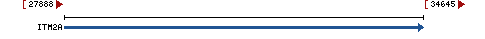 Genomic Context describing neighboring genes