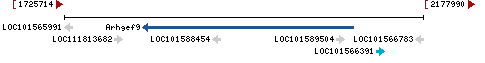 Genomic Context describing neighboring genes