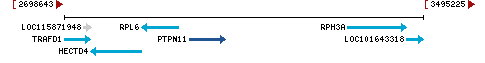 Genomic Context describing neighboring genes