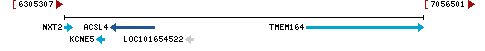 Genomic Context describing neighboring genes