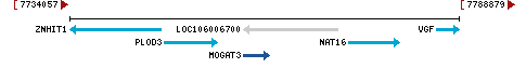 Genomic Context describing neighboring genes