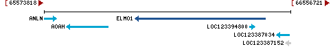 Genomic Context describing neighboring genes