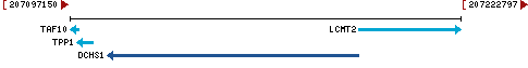 Genomic Context describing neighboring genes