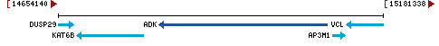 Genomic Context describing neighboring genes