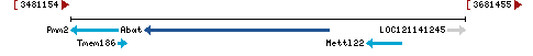 Genomic Context describing neighboring genes