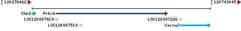 Genomic Context describing neighboring genes