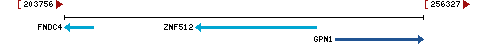 Genomic Context describing neighboring genes