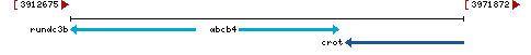 Genomic Context describing neighboring genes