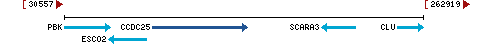 Genomic Context describing neighboring genes