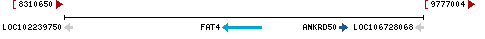 Genomic Context describing neighboring genes