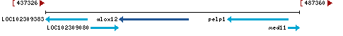 Genomic Context describing neighboring genes