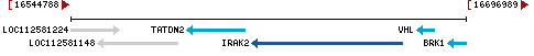 Genomic Context describing neighboring genes