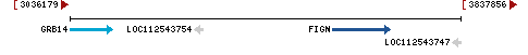 Genomic Context describing neighboring genes