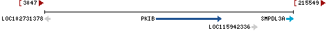 Genomic Context describing neighboring genes